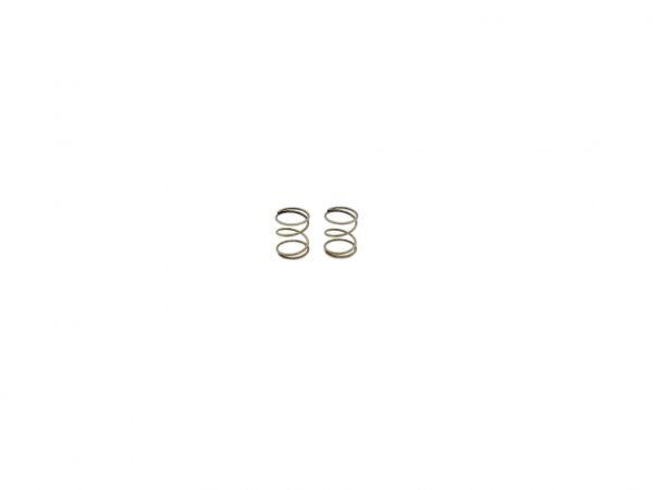 SPR12F-C1.1 Передние пружины (С=1.1) x2