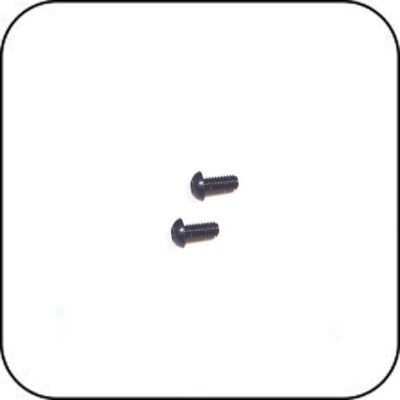 SB25X5 M2.5x5 Button Head Screw x 2