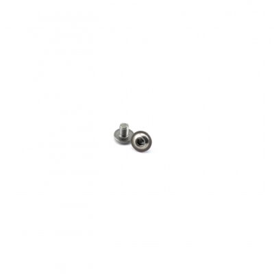 SB3X4F M3x4 Button Flanged Head Screw x 2